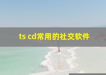 ts cd常用的社交软件